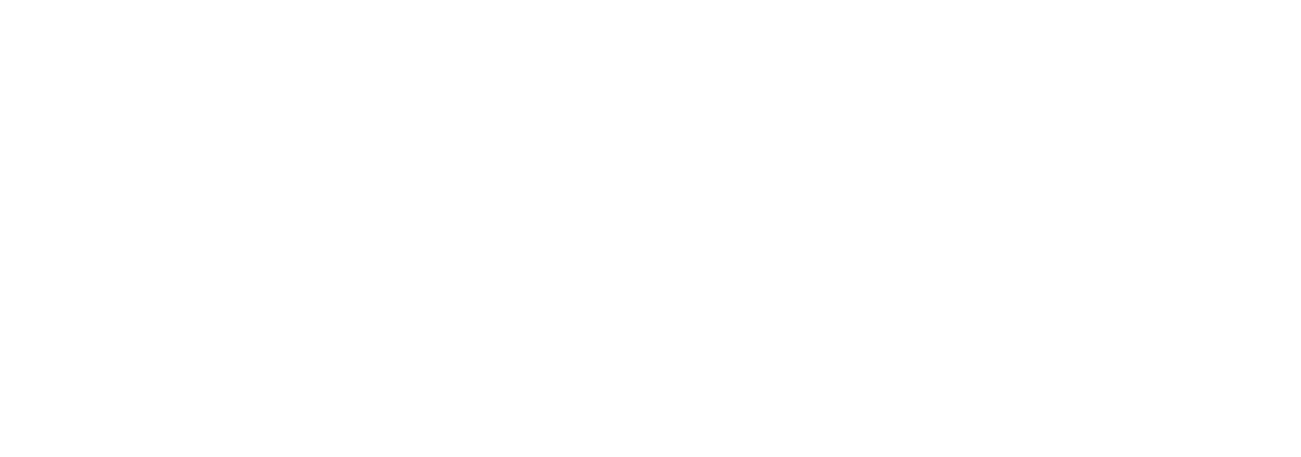 COMPANY INFORMATION